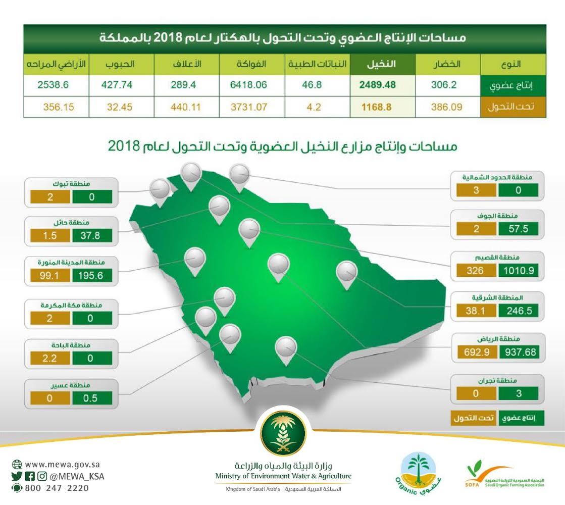 التصحر مشكلة محلية تواجهها المملكة العربية السعودية